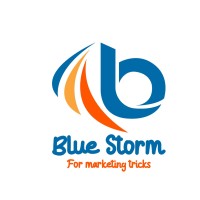 Blue Storm lTD logo - Similar company to Blue Storm