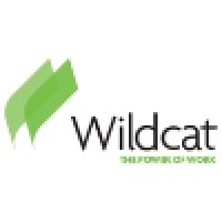 Wildcat Services Corporation