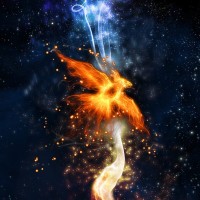 Phoenix Business Cycle logo - Similar company to The Empowered Franchisee