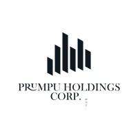 PRUMPU HOLDINGS CORP logo - Similar company to Augmenvision