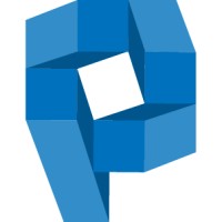 Paldi Solutions logo - Similar company to Simplexity Bi