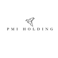 PMI Holding LLC logo - Similar company to Iot Energy