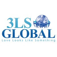 3LS GLOBAL ORG / 501(C)(3) logo - Similar company to Drawchange