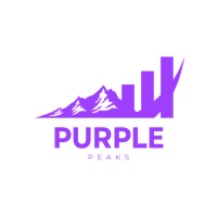 Purple Peaks logo - Similar company to Vizier Op Scherp