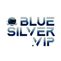 Blue Silver .VIP Limited logo - Similar company to Cosac Safe2Site - The Compliance & Skills Academy Ltd