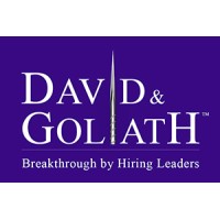 David & Goliath Pte Ltd logo - Similar company to David N Goliath