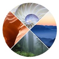 Seminary of the Wild logo - Similar company to Wilderness Medics Inc