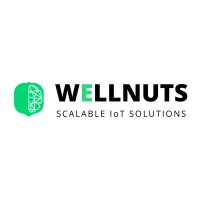 WELLNUTS logo - Similar company to Muse Solutions Group