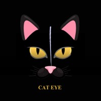 Cat Eye LLC FZ logo - Similar company to 3Um Foundation