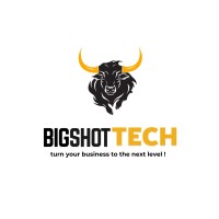 BigShot Tech logo - Similar company to Smartbaba