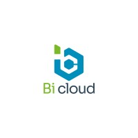 Bi Cloud logo - Similar company to Rigex