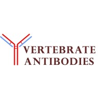 Vertebrate Antibodies logo - Similar company to Epitogenx