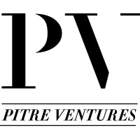 Pitre Business Ventures LLP logo - Similar company to Techaryans Cybersecurity Services