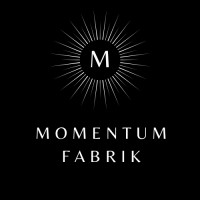 Momentumfabrik logo - Similar company to Visionskultur