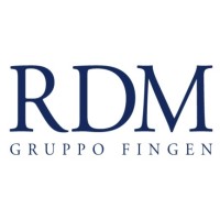 RDM Management Consulting logo - Similar company to Sute