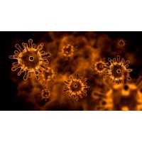 Virologyconsult Ltd