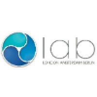 The Lab Llc