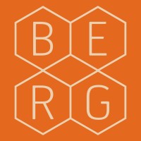 BERG Kommunikation logo - Similar company to Split Kommunikation