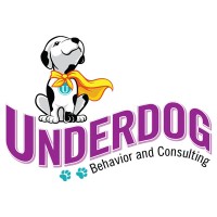 Underdog Behavior and Consulting