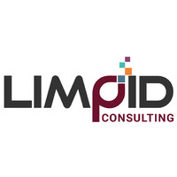 Limpid Consulting logo - Similar company to Limpid Consulting