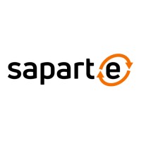 SAPARTE Consulting logo - Similar company to Dlk