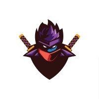 Web Ninja Solutions logo - Similar company to Web Vibe Studio