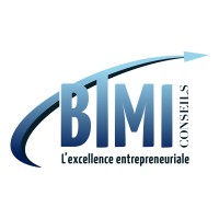BTMI Conseils logo - Similar company to Btmi Consulting