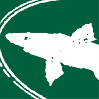 Dogfish Head logo - Similar company to Lagunitas Brewing Company