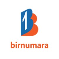 birnumara.com logo - Similar company to Momo Professional Ltd. Şti.