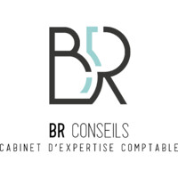 BR Conseils . Cabinet Expertise Comptable logo - Similar company to Amce Conseil
