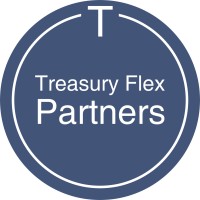 Treasury Flex Partners BV logo - Similar company to Seko Benelux