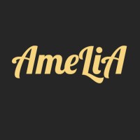 Amelia Lederwaren logo - Similar company to Dsource Llc