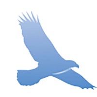 Fly High Investing