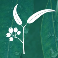 Sustainable Solutions Now logo - Similar company to Rawtec