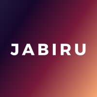Jabiru Payments logo - Similar company to Controller Summit Dcs Universidad De Chile