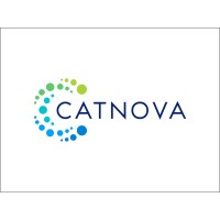 Catnova Systems Private Limited logo - Similar company to Catnova
