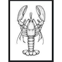 Poissonnerie Traiteur Du Bilàa logo - Similar company to Poissonnerie L'Ecaille