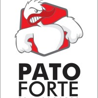 Pato forte transportes de máquinas Ltda logo - Similar company to Máquinas Junqueira