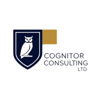 Cognitor Consulting Ltd logo - Similar company to Triggerfish
