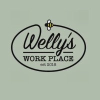 Welly's Work Place with Sunny Skies Enterprises CIC logo - Similar company to Kandoroo
