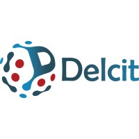 DELCIT INC logo - Similar company to Web Tech Connect
