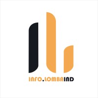 info.lombaind logo - Similar company to Nawoo Ltd.