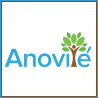 Anovite logo - Similar company to Billion Dollar Contractor