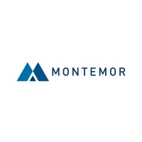 Montemor Consultoria Empresarial logo - Similar company to Conttags Contabilidade