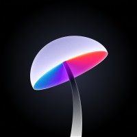 Palianka Studio logo - Similar company to Fotando Global