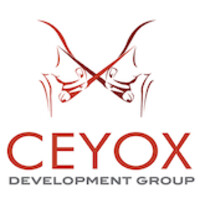 Ceyox Development Group B.V. logo - Similar company to Ander