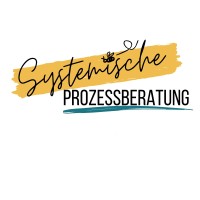 Systemische Prozessberatung logo - Similar company to Rafisa Informatik Gmbh