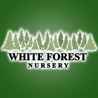 White Forest Nursery logo - Similar company to Black Kow Inc