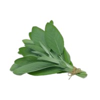 Sage Advisory AB logo - Similar company to Treecastle Digital