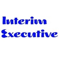Interim Executive Solutions, LLC logo - Similar company to Interim Executive Solutions, Llc